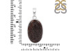 Dinosaur Bone Pendant-SP DSB-1-32