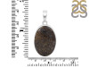 Dinosaur Bone Pendant-SP DSB-1-33