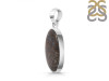 Dinosaur Bone Pendant-SP DSB-1-33