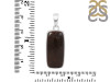 Dinosaur Bone Pendant-SP DSB-1-35