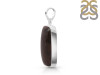 Dinosaur Bone Pendant-SP DSB-1-35