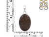 Dinosaur Bone Pendant-SP DSB-1-4