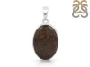 Dinosaur Bone Pendant-SP DSB-1-4