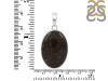 Dinosaur Bone Pendant-SP DSB-1-9