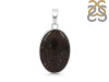 Dinosaur Bone Pendant-SP DSB-1-9