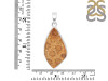 Fossilized Coral Pendant-SP FSC-1-11