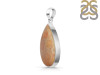 Fossilized Coral Pendant-SP FSC-1-15