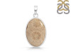 Fossilized Coral Pendant-SP FSC-1-16