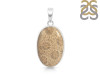 Fossilized Coral Pendant-SP FSC-1-17