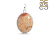 Fossilized Coral Pendant-SP FSC-1-39