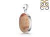 Fossilized Coral Pendant-SP FSC-1-39