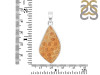 Fossilized Coral Pendant-SP FSC-1-42
