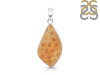Fossilized Coral Pendant-SP FSC-1-42