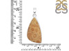Fossilized Coral Pendant-SP FSC-1-43