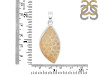Fossilized Coral Pendant-SP FSC-1-44