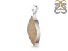 Fossilized Coral Pendant-SP FSC-1-44