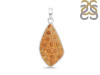 Fossilized Coral Pendant-SP FSC-1-45