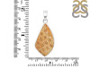 Fossilized Coral Pendant-SP FSC-1-47