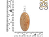 Fossilized Coral Pendant-SP FSC-1-7