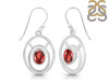 Garnet Earring GAR-RDE-264.
