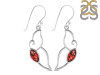 Garnet Earring GAR-RDE-50.