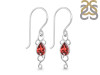 Garnet Earring GAR-RDE-6.