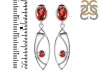 Garnet Earring GAR-RDE-645.