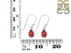 Garnet Earring GAR-RDE-679.