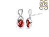 Garnet Stud Earring GAR-RDE-9.