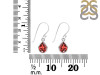 Garnet Earring GAR-RDE-996.