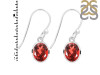Garnet Earring GAR-RDE-998.