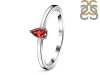 Garnet Ring GAR-RDR-2530.