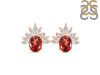 Garnet & White Topaz Stud Earring GAR-RE-71.
