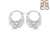 Green Amethyst Earring GRA-RDE-56.