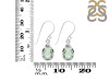 Green Amethyst Earring GRA-RDE-707.