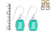 Green Onyx Earring GRO-RDE-1251.
