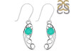 Green Onyx Earring GRO-RDE-46.
