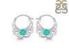 Green Onyx Earring GRO-RDE-56.