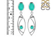 Green Onyx Earring GRO-RDE-645.