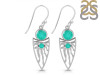 Green Onyx Earring GRO-RDE-649.