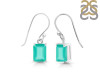 Green Onyx Earring GRO-RDE-675.