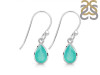 Green Onyx Earring GRO-RDE-679.