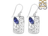 Iolite Earring IOL-RDE-47.