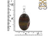 Iron Tiger Eye Pendant-SP ITE-1-24