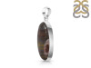 Iron Tiger Eye Pendant-SP ITE-1-24
