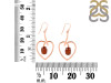 Kyanite (Orange) Earring KYN-RDE-441-O.