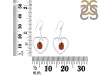 Kyanite (Orange) Earring KYN-RDE-441-O.