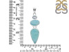 Larimar Pendant-2SP LAR-1-302