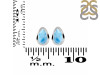 Larimar Stud Earring LAR-RDE-1106.
