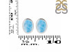 Larimar Stud Earring LAR-RDE-1113.